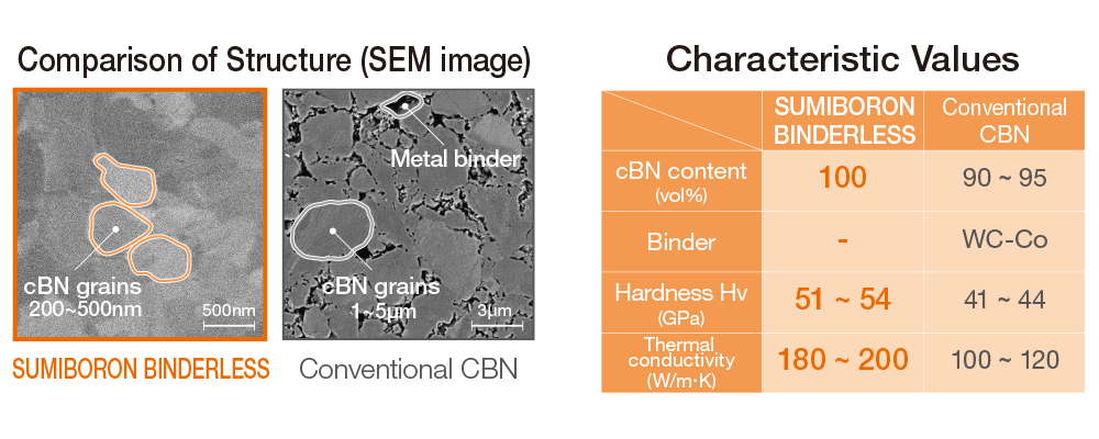 ncb100_features_01